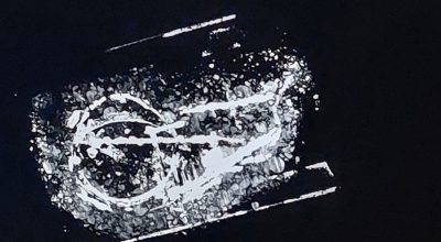 UNIVERSITA’ DI CAMERINO – OSPEDALE VETERINARIO UNIVERSITARIO | DIAGNOSTICA PER IMMAGINI