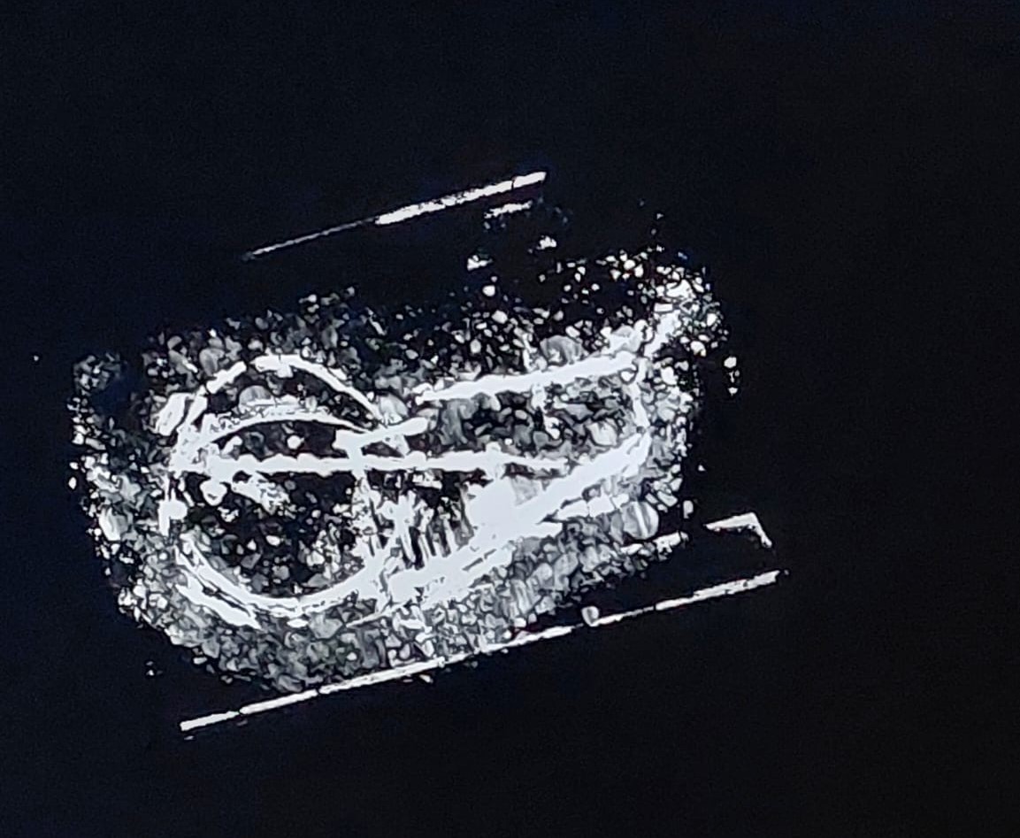 UNIVERSITA’ DI CAMERINO – OSPEDALE VETERINARIO UNIVERSITARIO | DIAGNOSTICA PER IMMAGINI